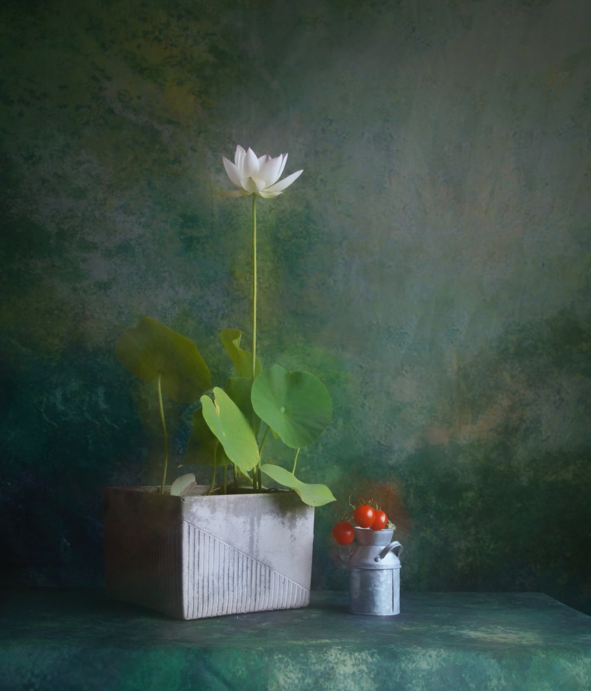 Rustig stilleven met witte lotus door Fangping Zhou