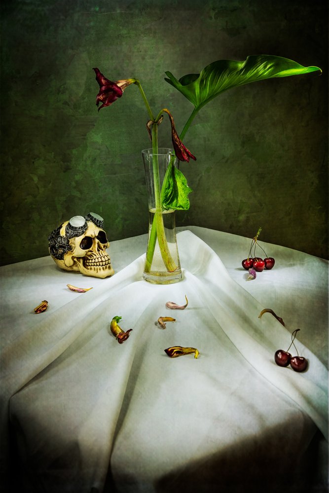 Gothic Skull Vanitas door Felice Angelino