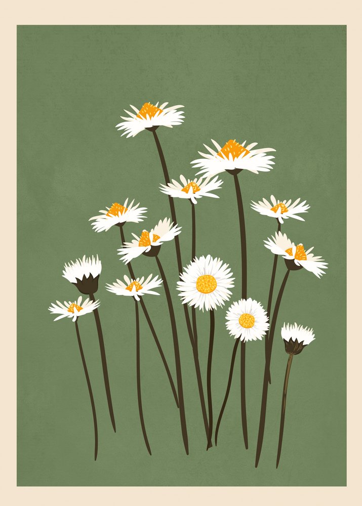 Witte madeliefjes op groen door Flow Line