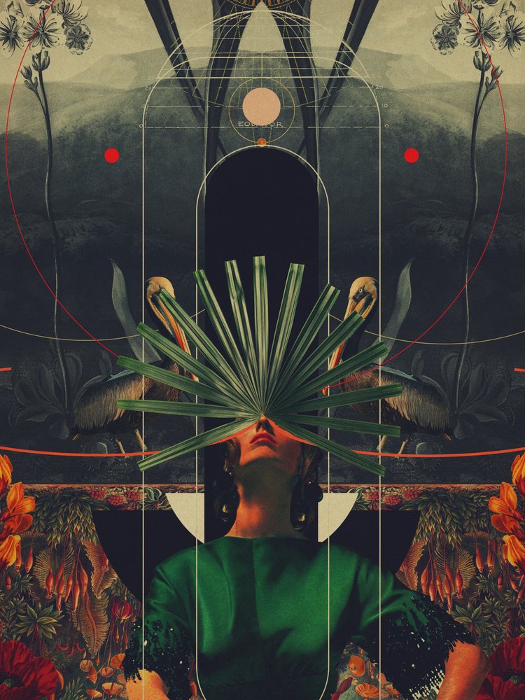  door Frank Moth