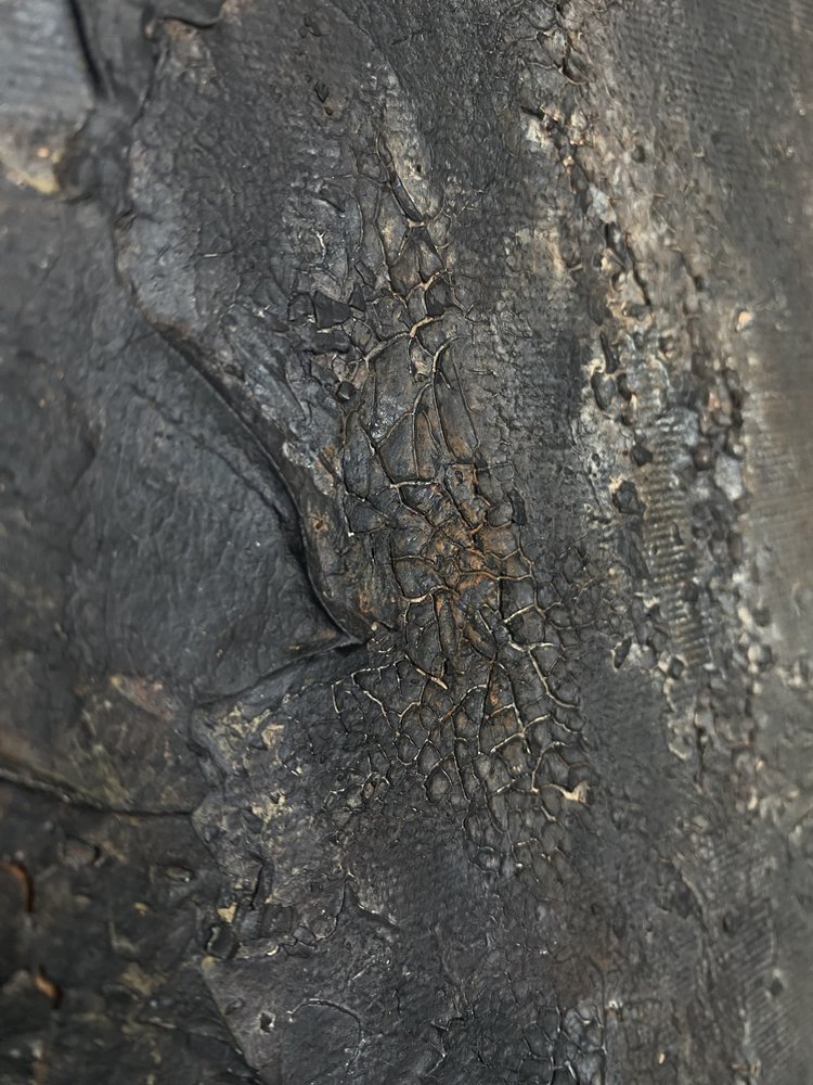  door Gabriela Aleksandra Szuba