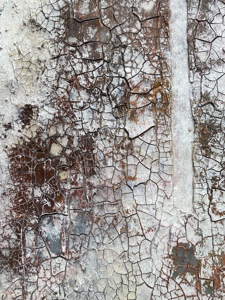  door Gabriela Aleksandra Szuba