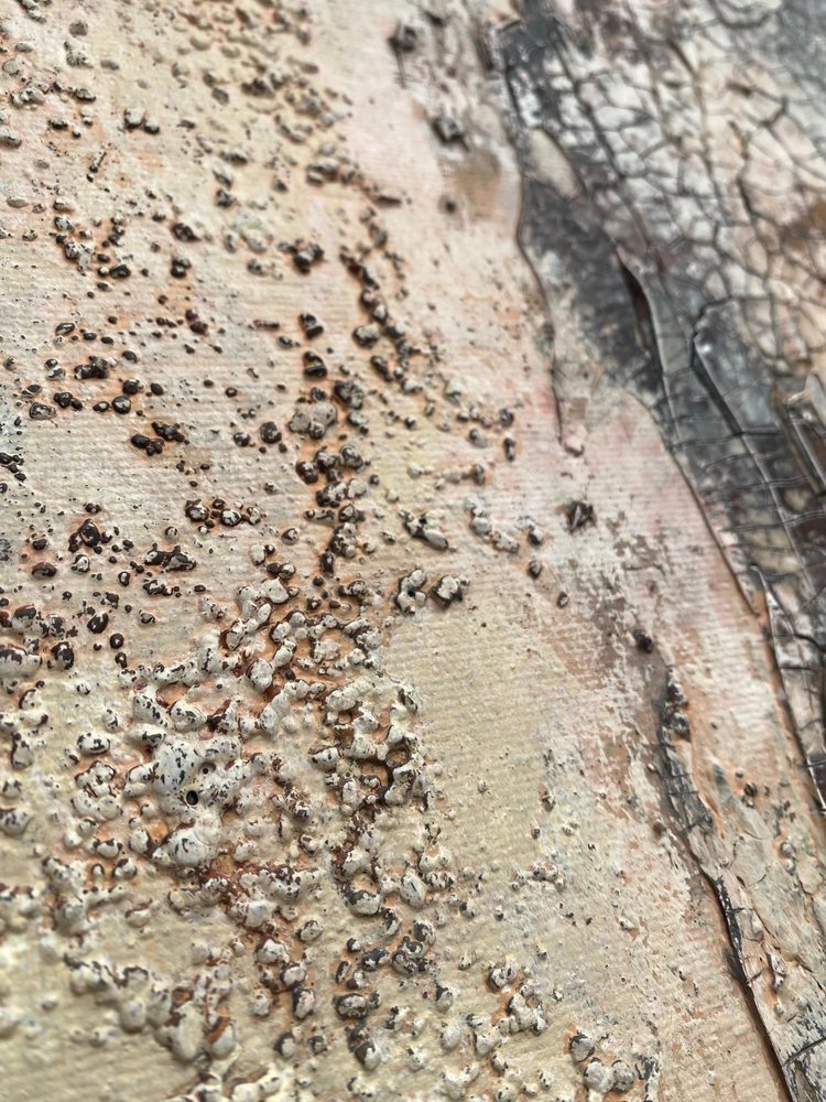  door Gabriela Aleksandra Szuba