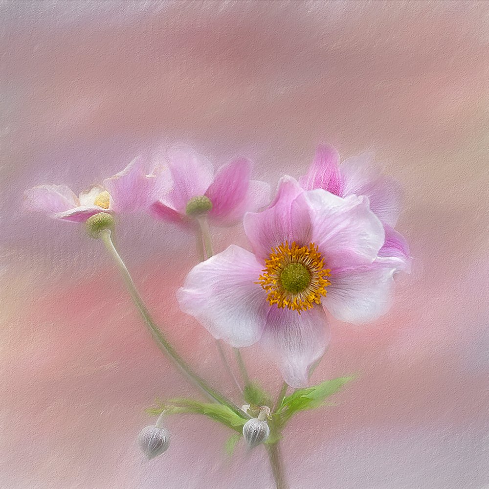  door Gaille Gray