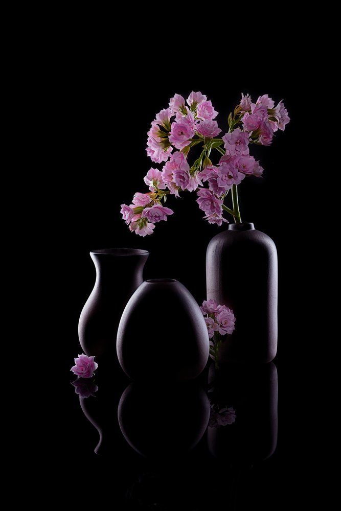 Donkere vazen met roze bloemen door GaoSL