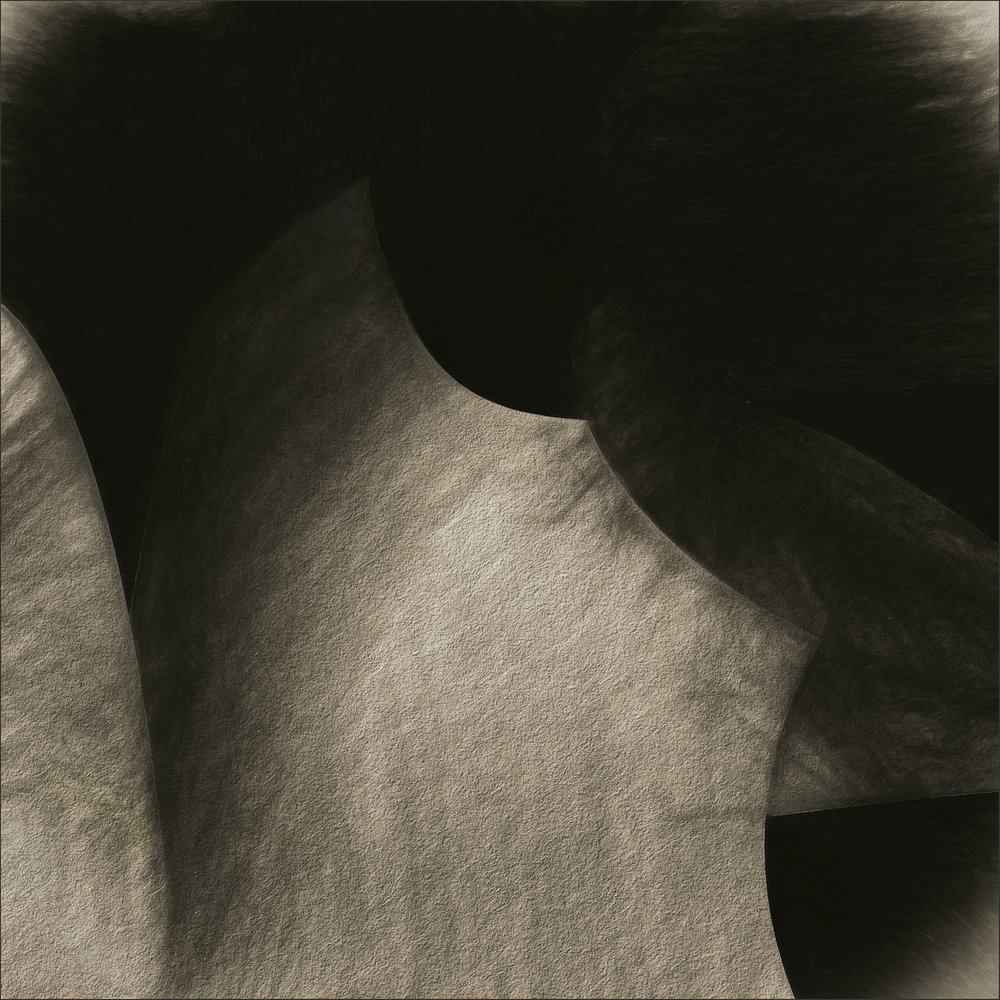 Vloeiende sepia-krommen door Gilbert Claes