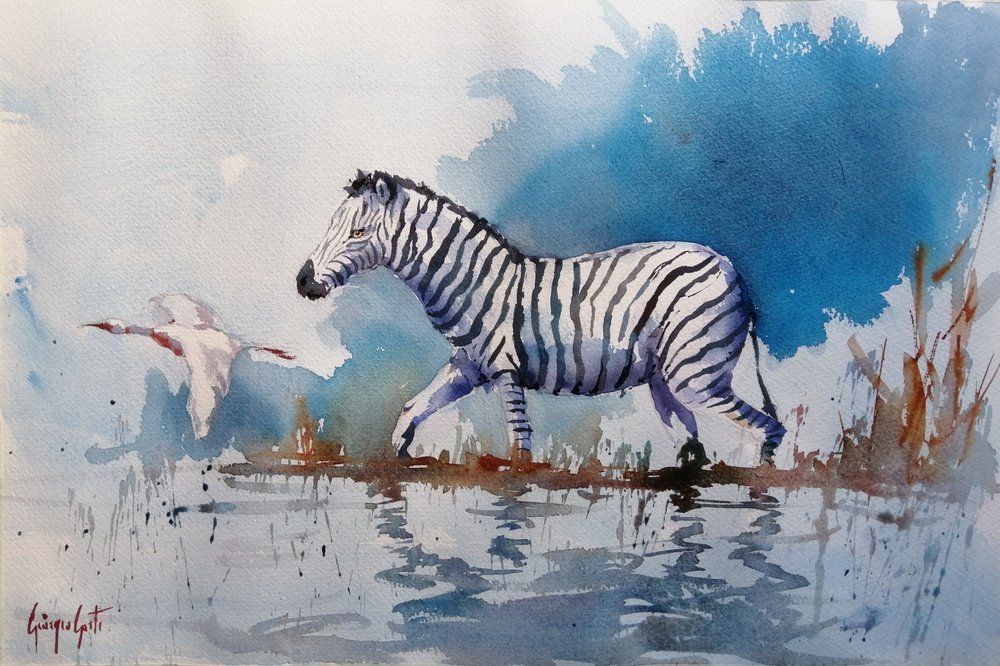 Afrikaanse zebra waadt door Giorgio Gosti