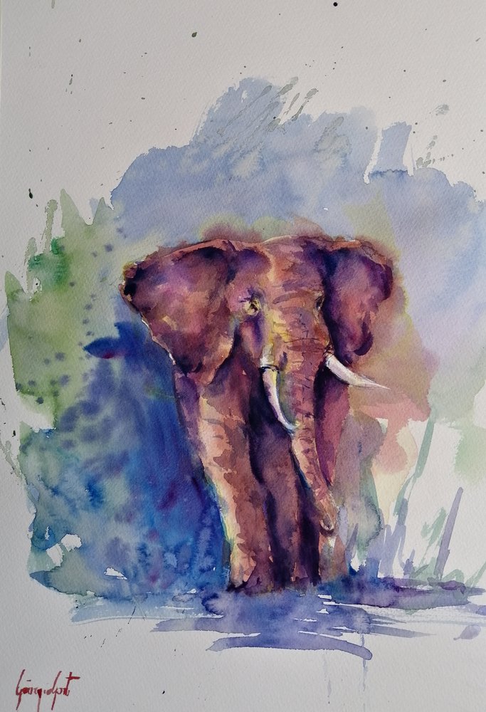 Majestueuze olifant in aquarel door Giorgio Gosti