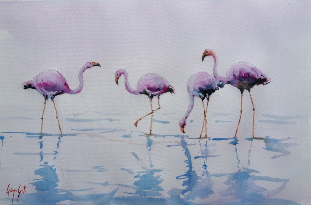 Roze flamingo’s waden door Giorgio Gosti