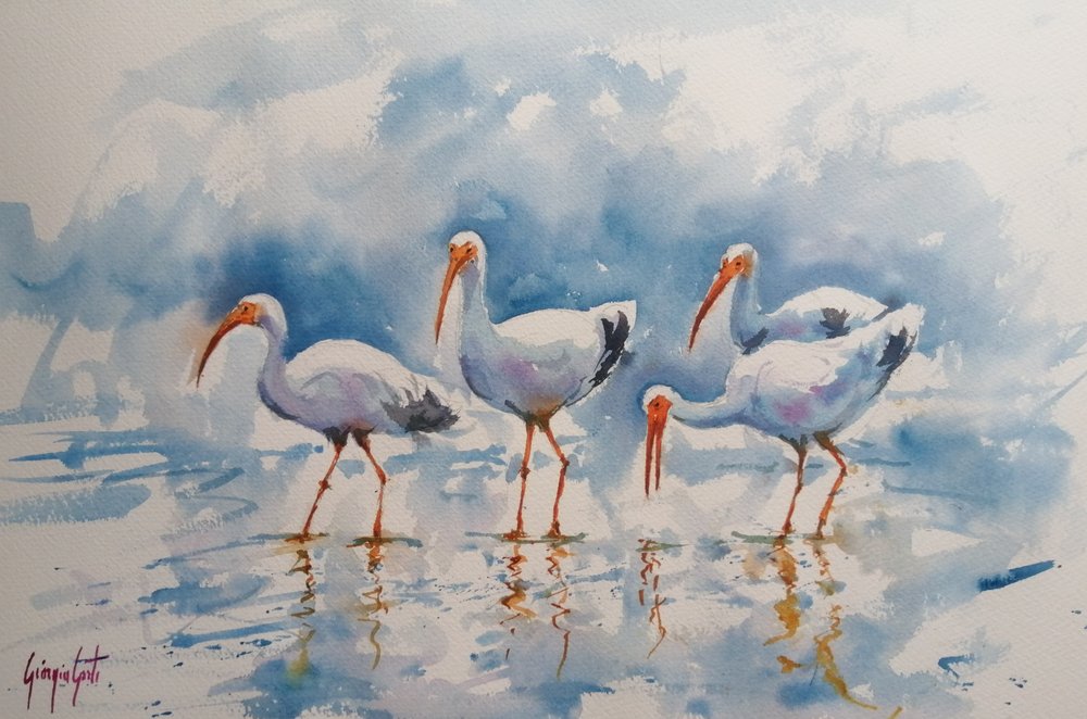 Weerspiegelingen van de witte ibis door Giorgio Gosti