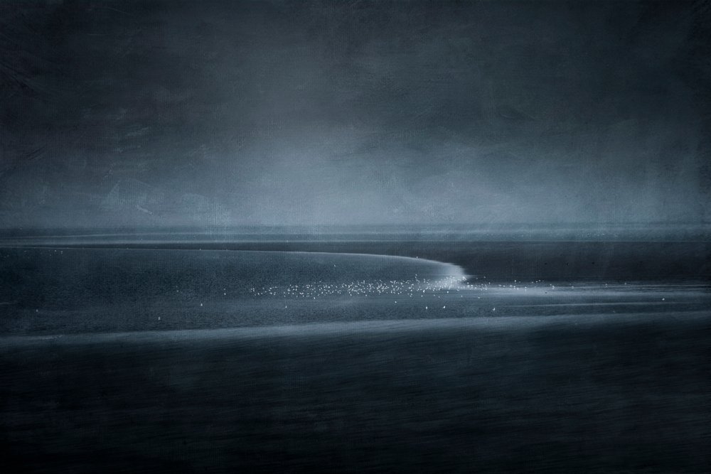 Vogels aan de schemerkust door Greetje van Son