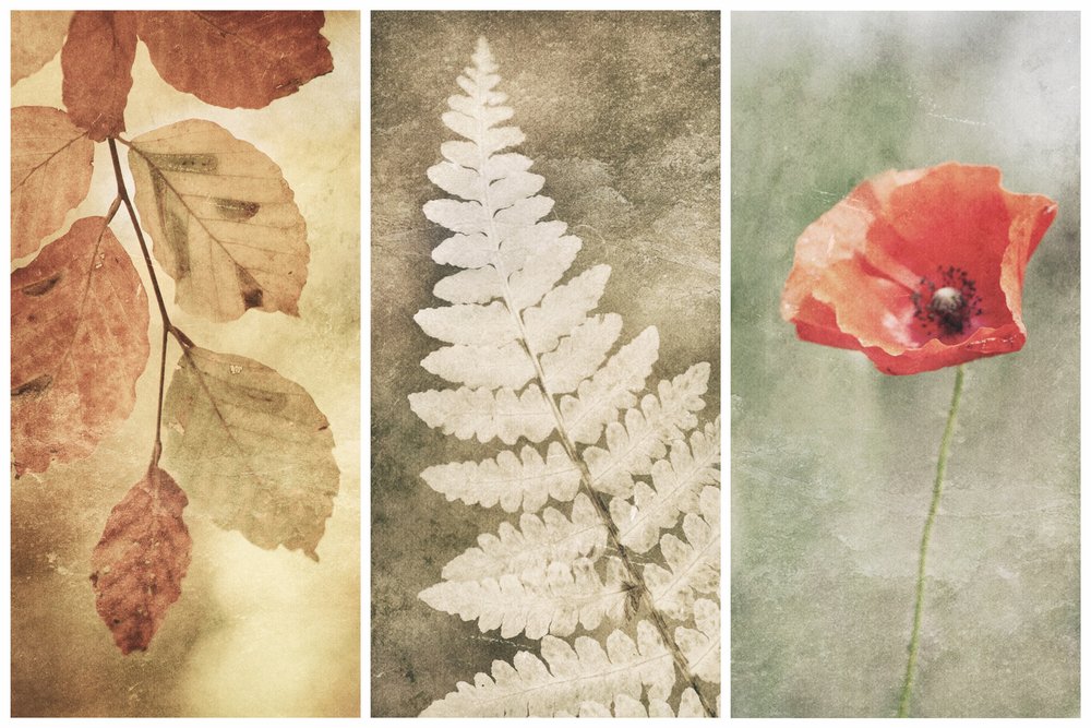 Vintage Nature Trio door Gustav Davidsson
