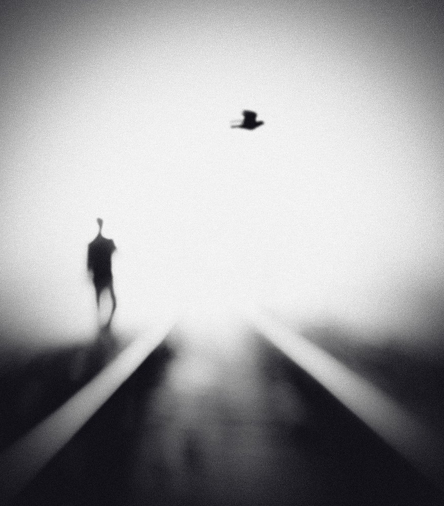 Eenzame man, vliegende vogel door Hengki Lee