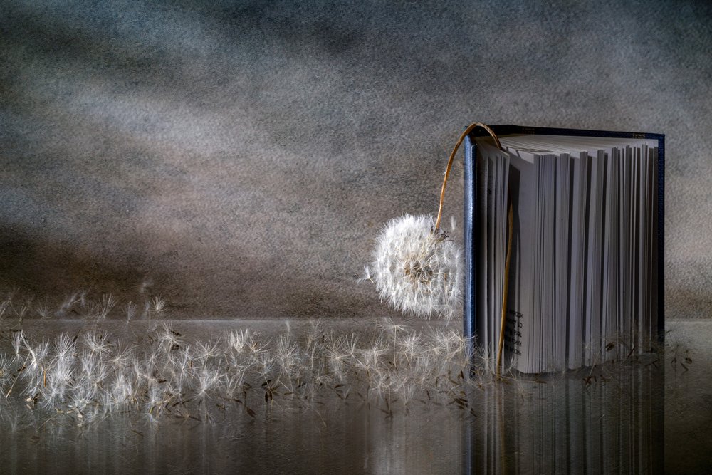 Reflectie van een paardenbloemenboek door Igor Kopcev