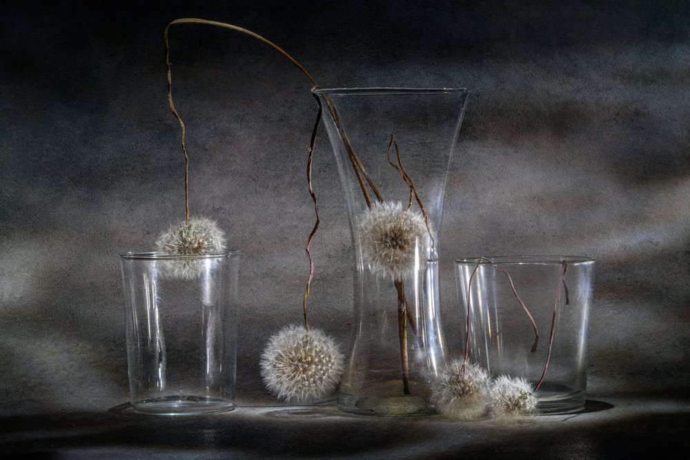 Paardenbloemval door Igor Kopcev