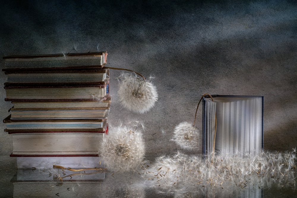 Dromerige boeken en paardenbloemen door Igor Kopcev