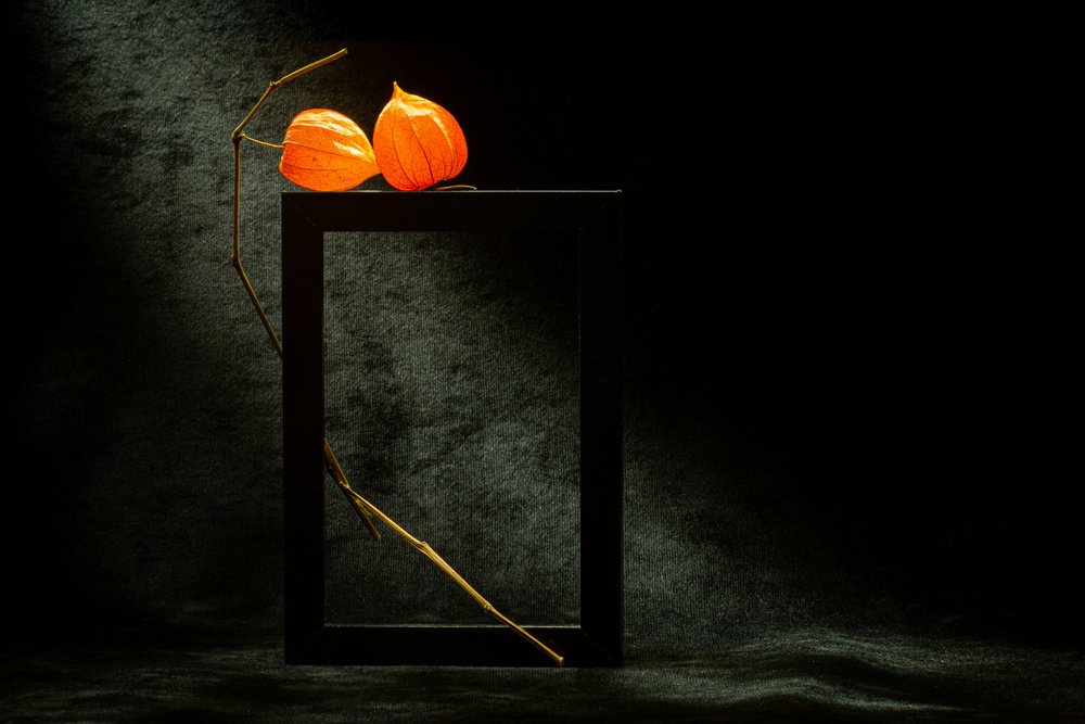 Gloeiend physalisframe door Igor Kopcev