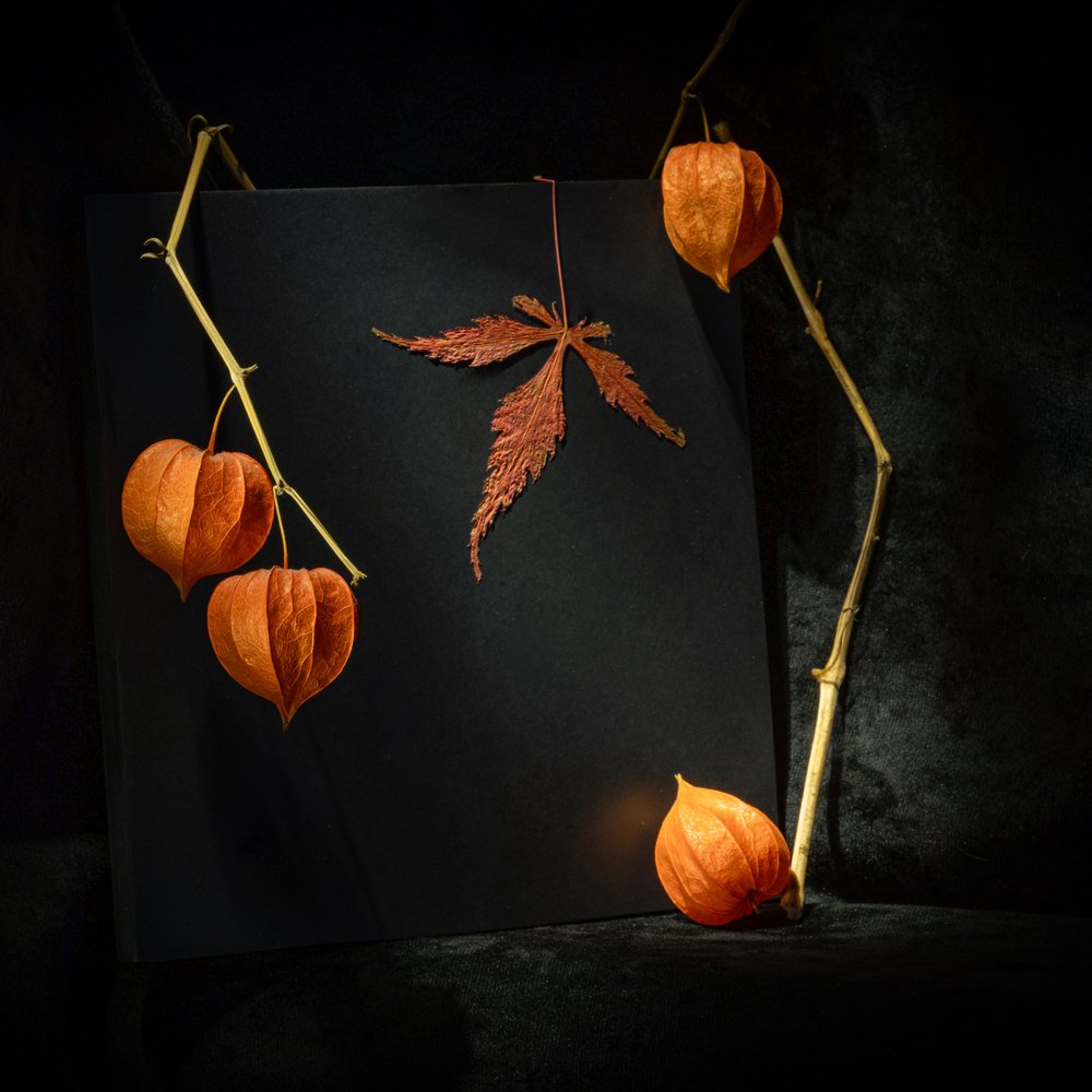 Sfeervolle herfstphysalis door Igor Kopcev