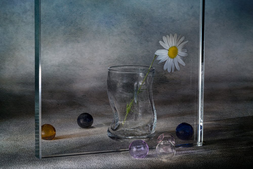 Stille madeliefreflecties door Igor Kopcev