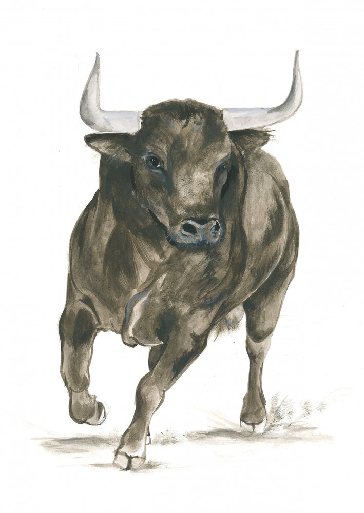 Kracht van een aanvallende stier door Isabelle Brent