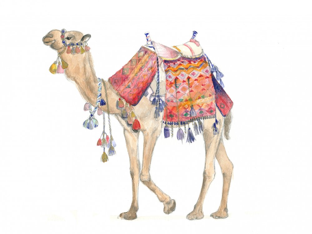 Elegantie van de woestijn door Isabelle Brent