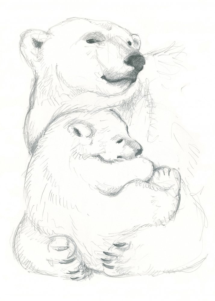 Tekening van ijsbeer en welp door Isabelle Brent