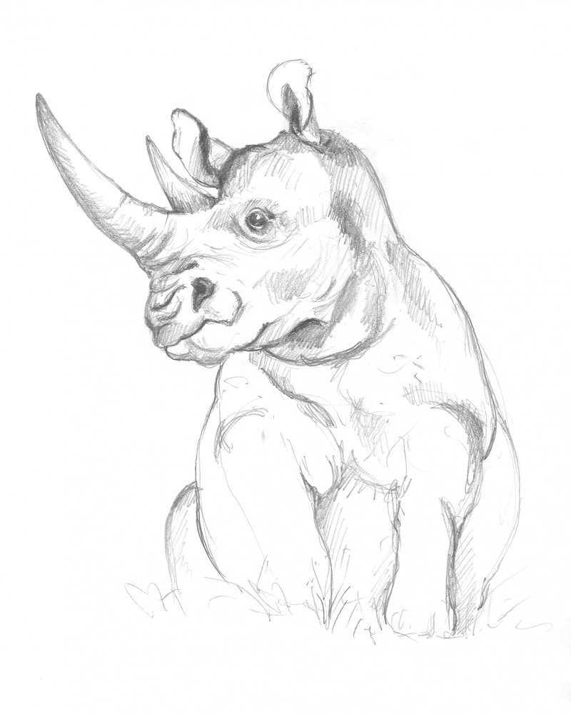 Neushoorn door Isabelle Brent