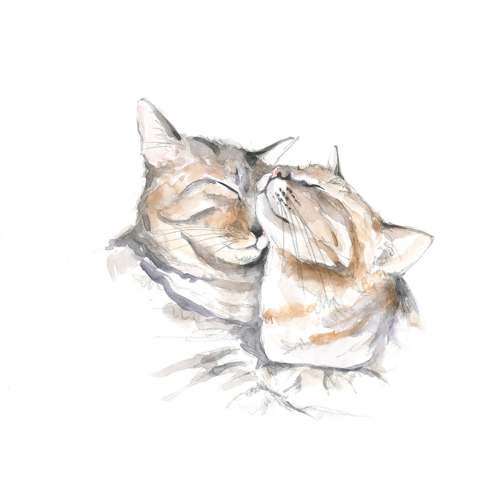 Lief slapende katten door Isabelle Brent