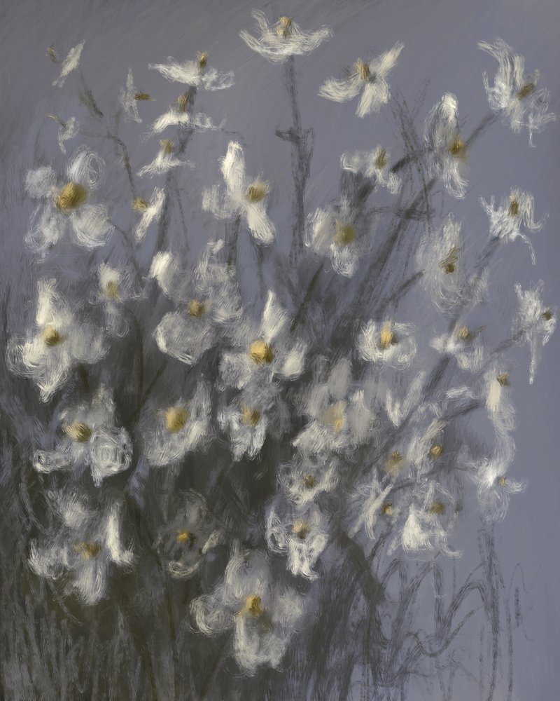 Dromerige witte bloemen door James Zamora