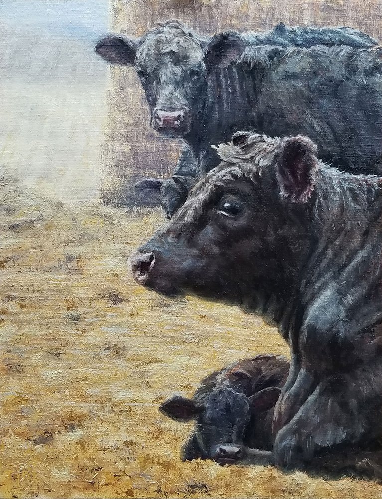 De familie Black Cattle door Jan Clizer