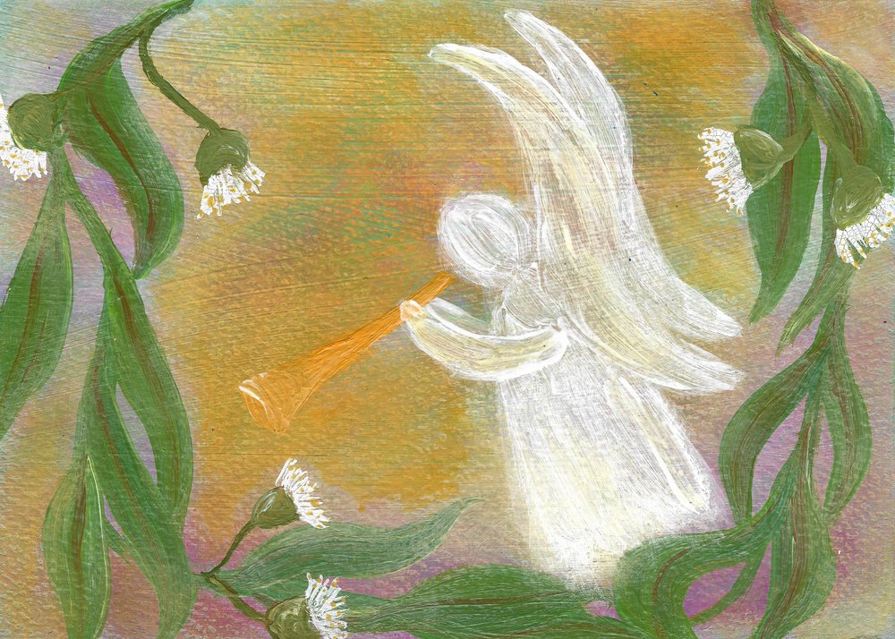 Eucalyptus-engeltrompet door Janine Brewster
