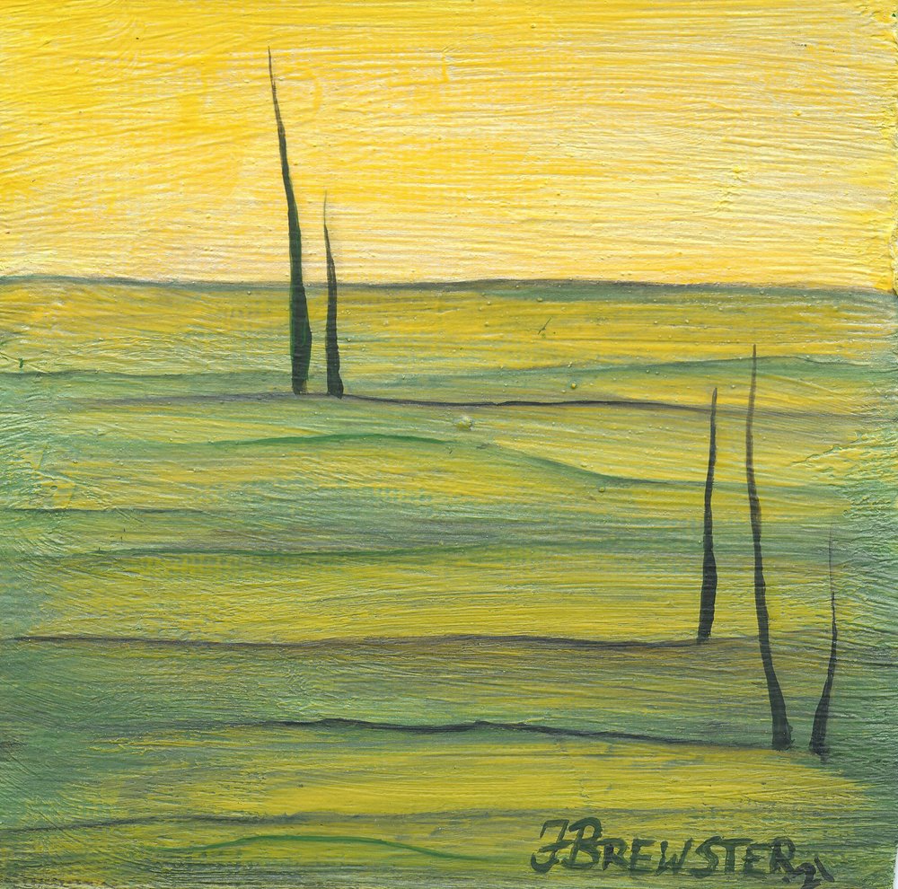 Gouden hemel, groen landschap door Janine Brewster