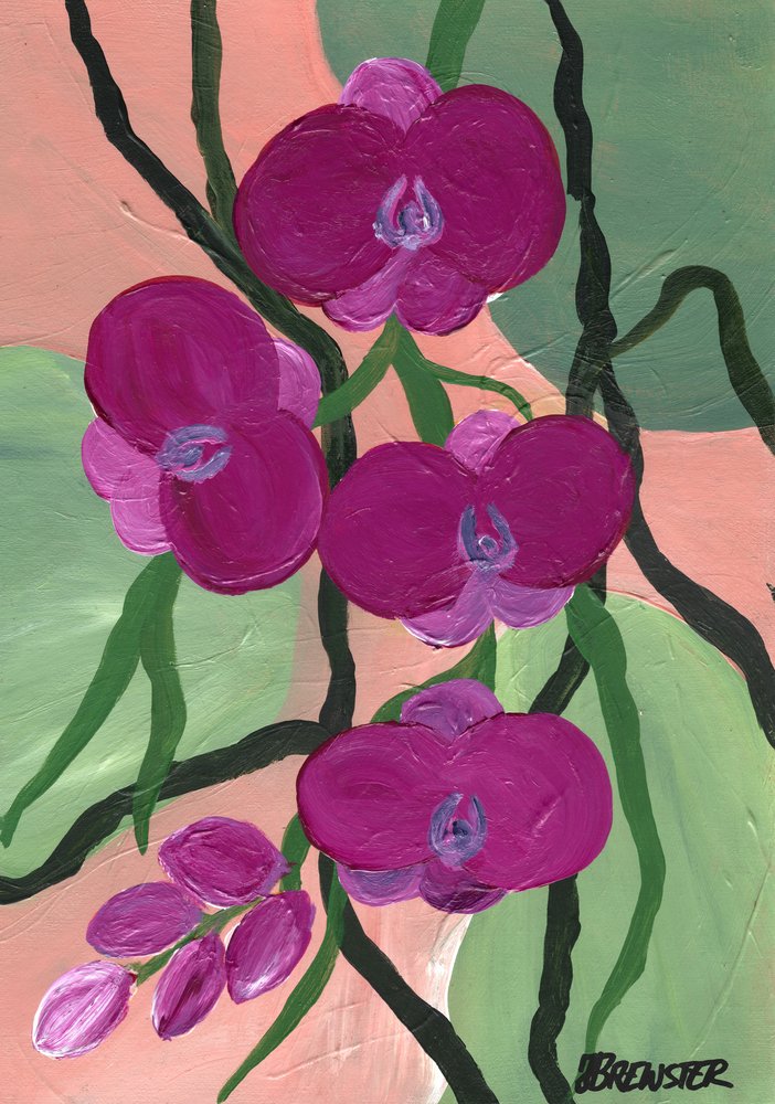 Magenta-kleurige orchideeën in bloei door Janine Brewster
