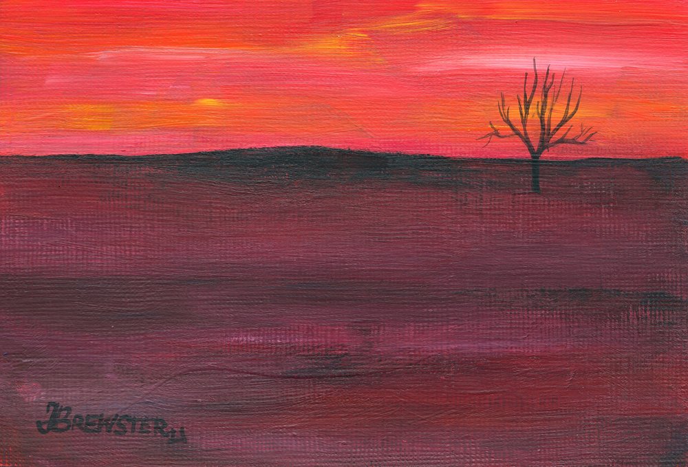 Eenzame zonsondergangboom door Janine Brewster