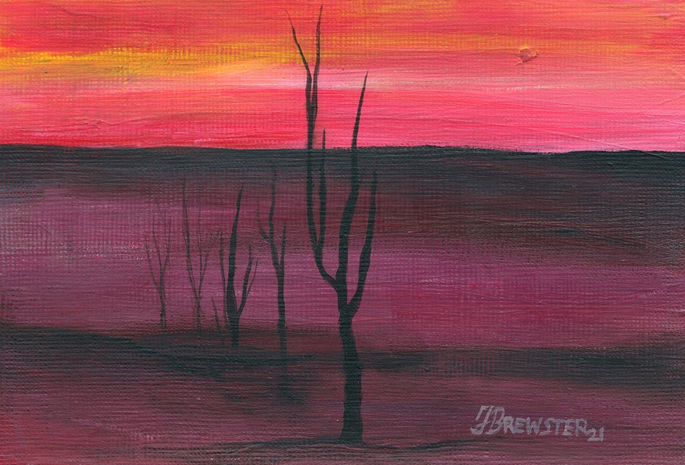 Levendige zonsondergang in de woestijn door Janine Brewster
