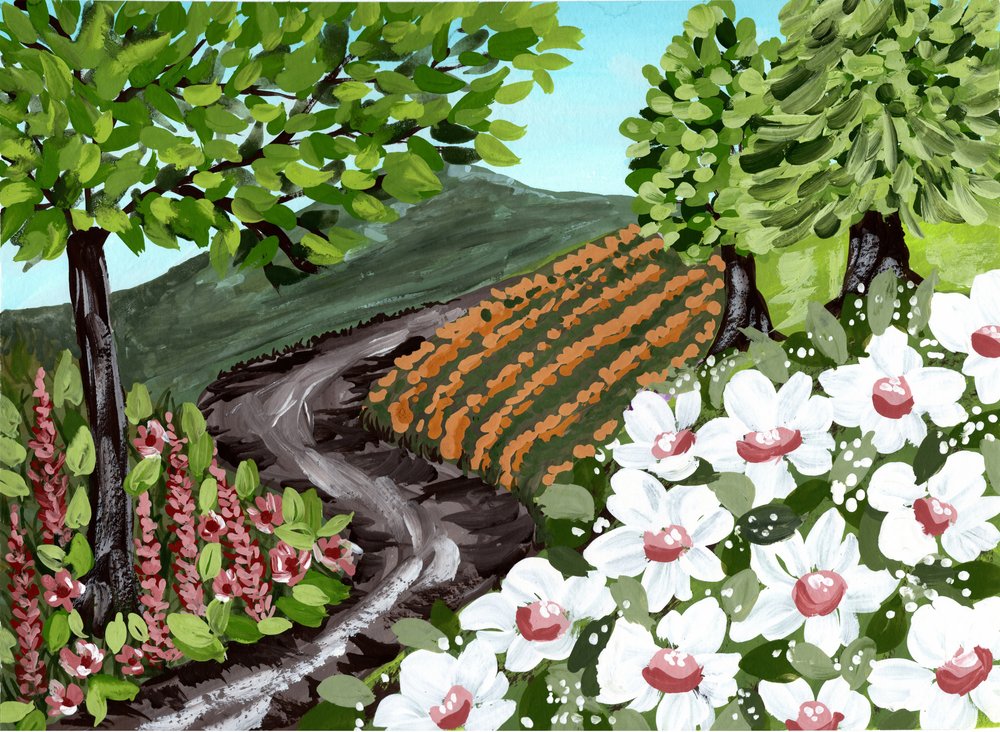 Wijnbergpad met bloemen door Jasmine Goodwin