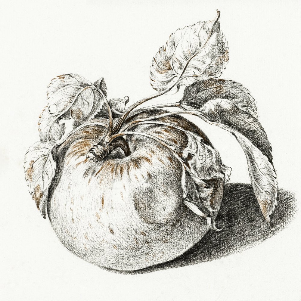 Apple door Jean Bernard