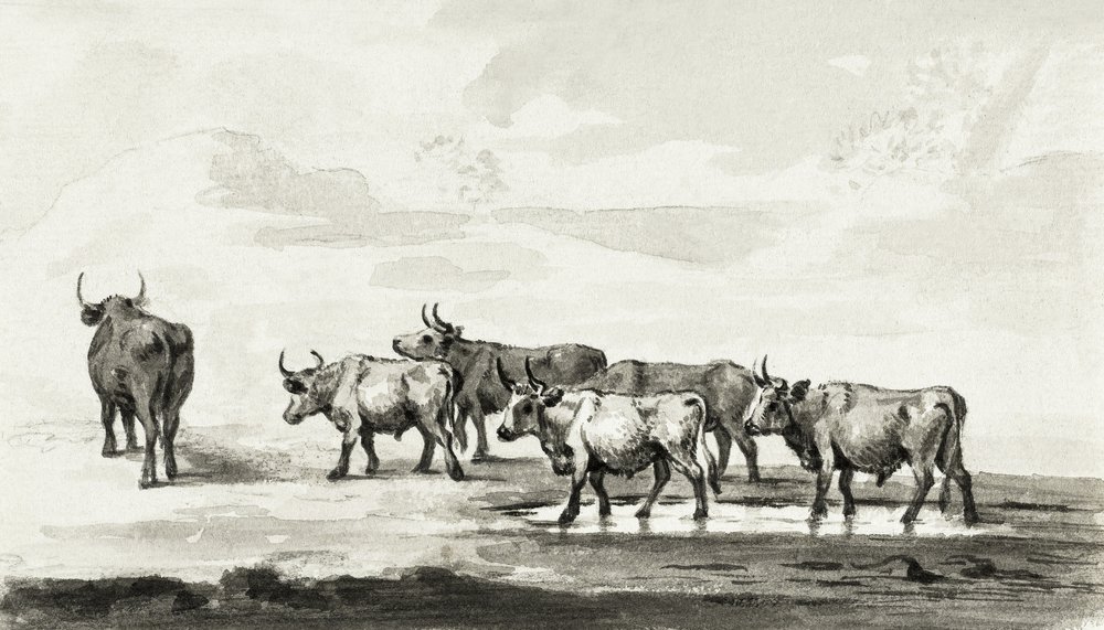Groep van zes stieren door Jean Bernard