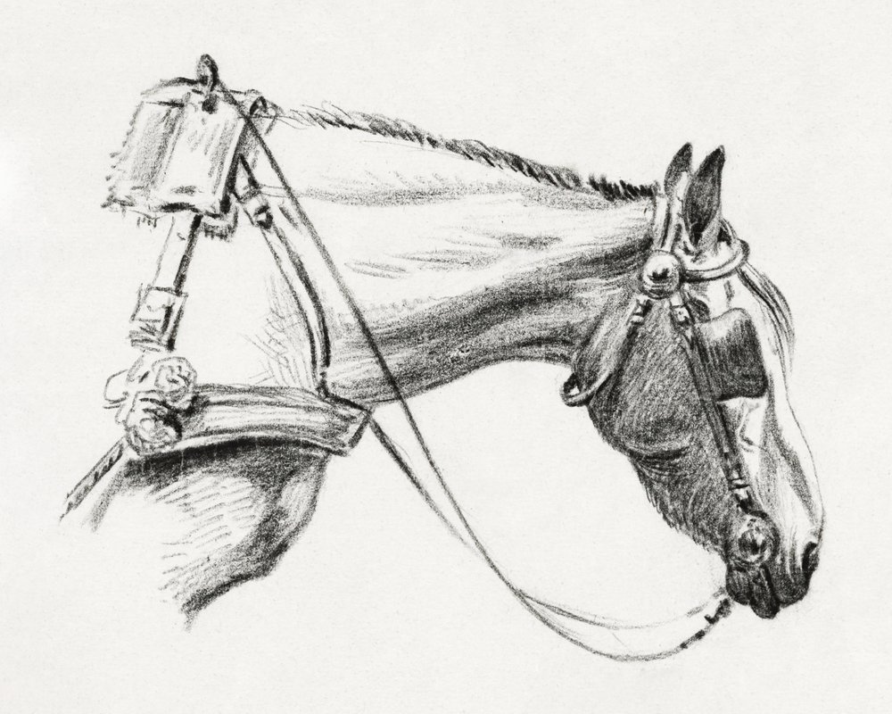 Paardenhoofd (1820) door Jean Bernard