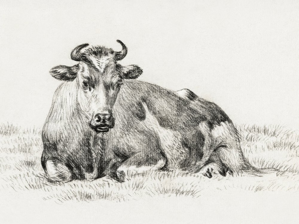 Liggende koe (1825) door Jean Bernard