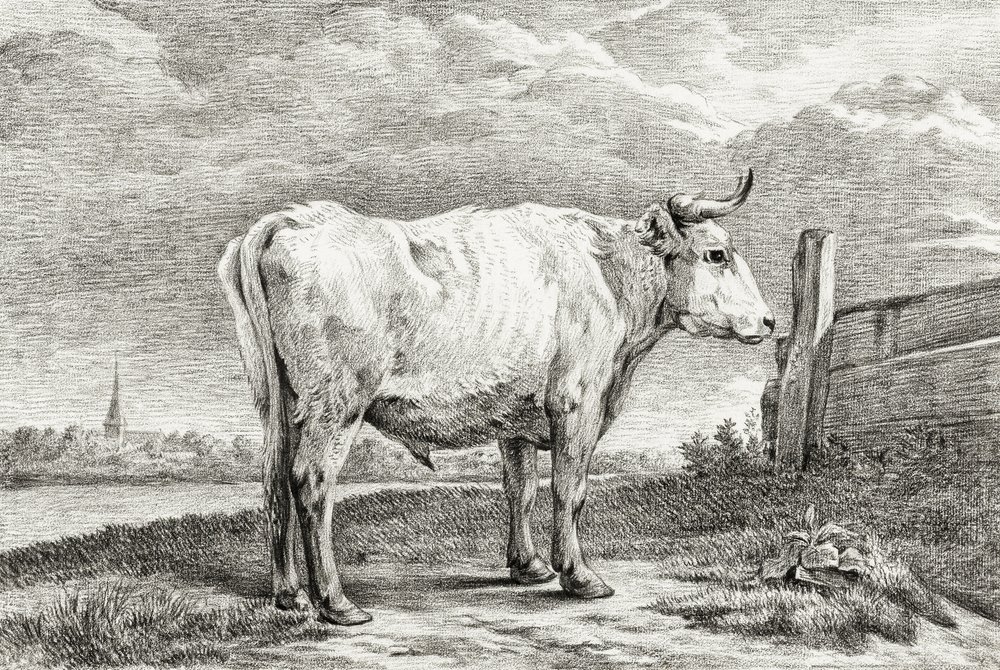 Standing Bull (1817) door Jean Bernard