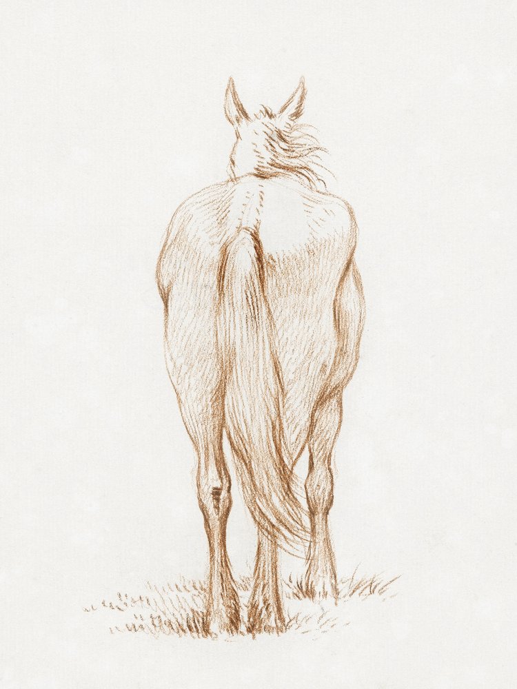 Staand paard (1815) Door Jean Bernard door Jean Bernard