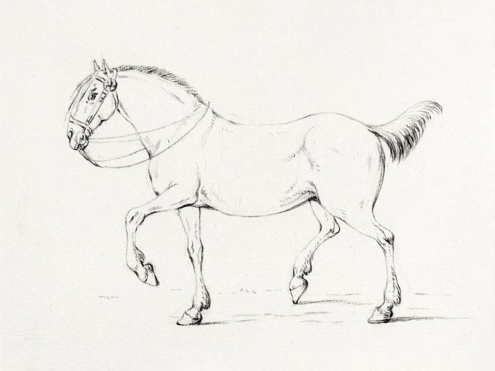 Stepping Horse (1775–1833) door Jean Bernard