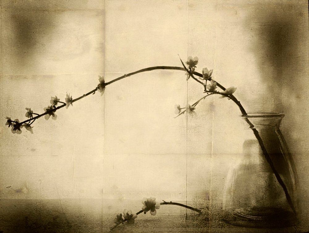  door Jeffrey Hummel