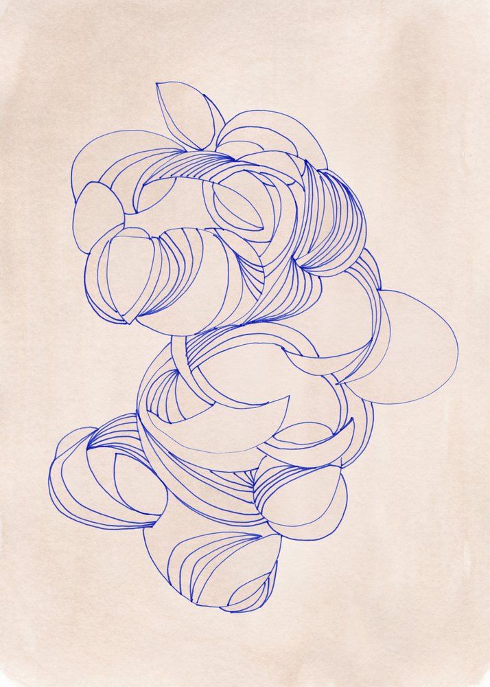 Biologische Blue Curves door Jenja Braun