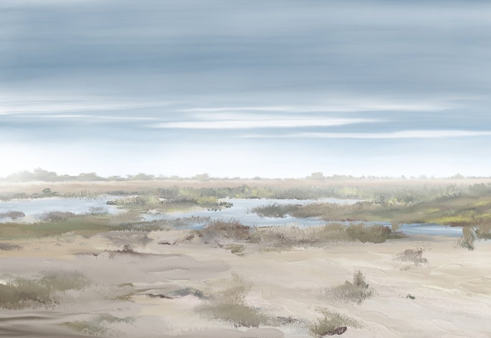 Mistig moeraslandschap door Jenna Alheit