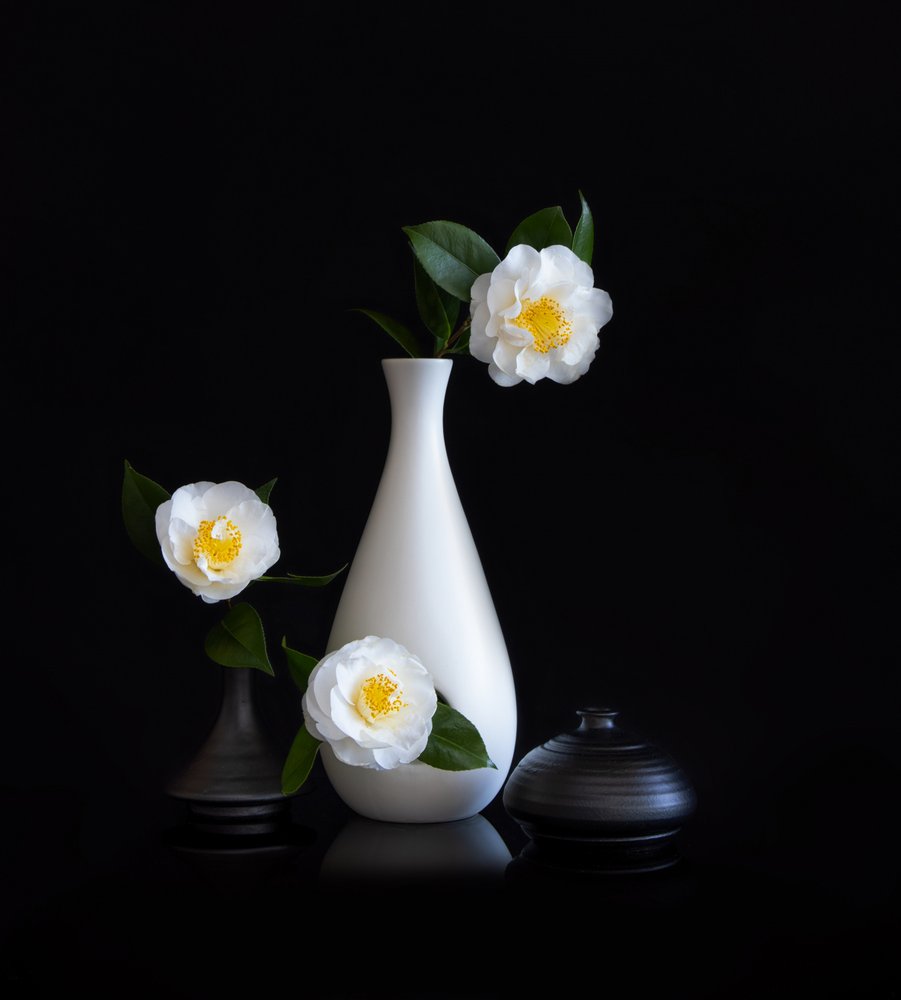 Stilleven met witte camelia’s door Joanna W