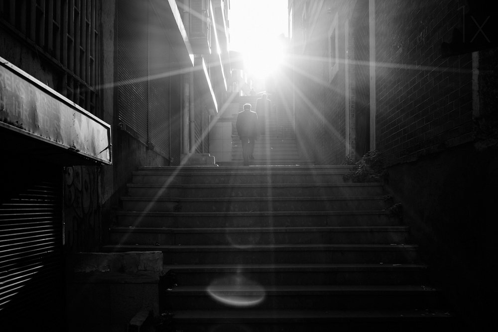 Omhoog, naar het licht door Jochen Bongaerts