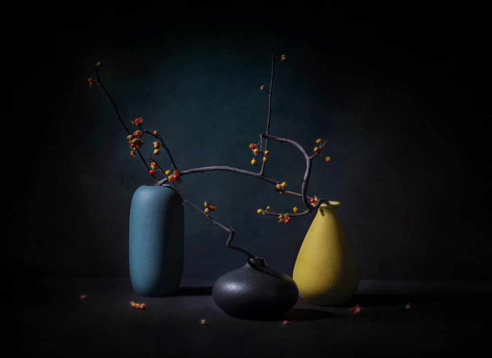 Elegant stilleven met takken door John-Mei Zhong