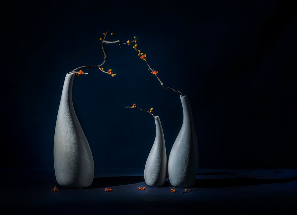 Elegante vazen met bloemen door John-Mei Zhong